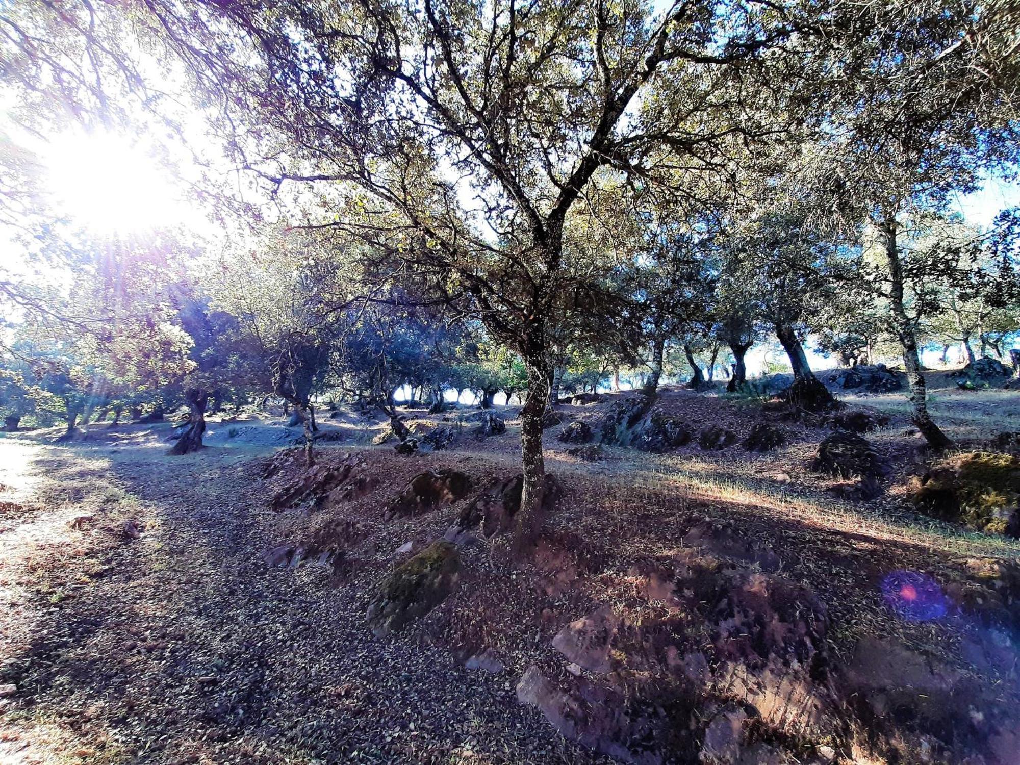 Casa Rural Gurumelo Aracena Zewnętrze zdjęcie